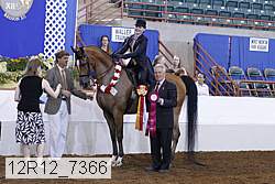 12r12_7366 proof