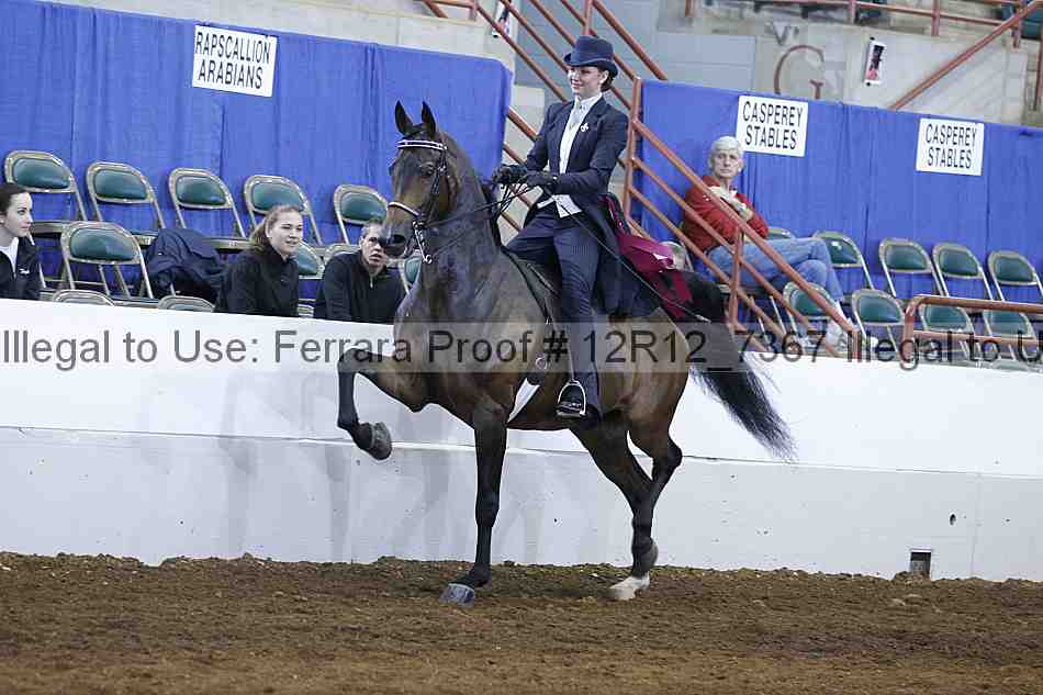 Proof 12r12_7367