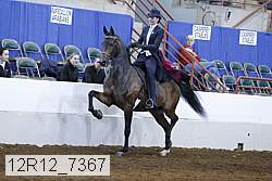 12r12_7367 proof