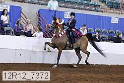12r12_7372 proof