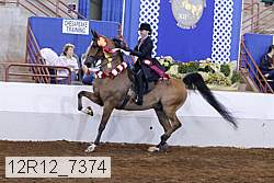 12r12_7374 proof