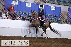 12r12_7376 proof
