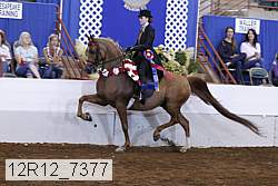 12r12_7377 proof