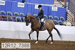 12r12_7388 proof