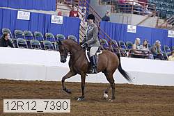 12r12_7390 proof