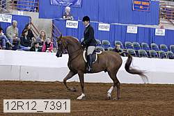 12r12_7391 proof