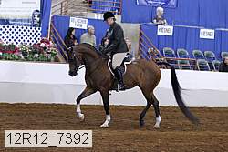12r12_7392 proof