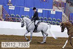 12r12_7393 proof