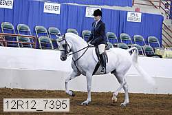 12r12_7395 proof