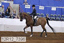 12r12_7396 proof