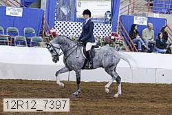 12r12_7397 proof