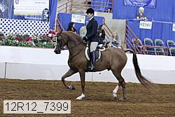 12r12_7399 proof