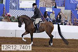 12r12_7401 proof