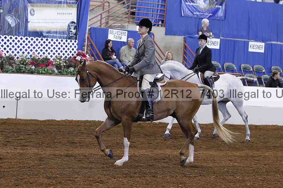 Proof 12r12_7403