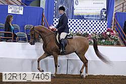 12r12_7405 proof