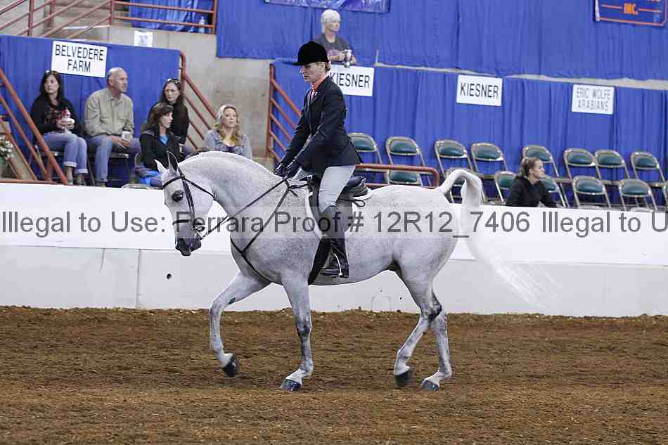 Proof 12r12_7406