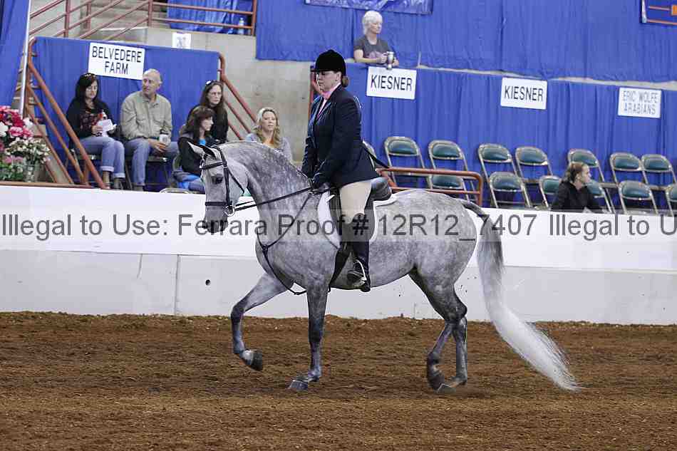 Proof 12r12_7407