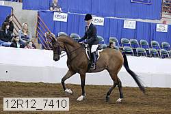 12r12_7410 proof