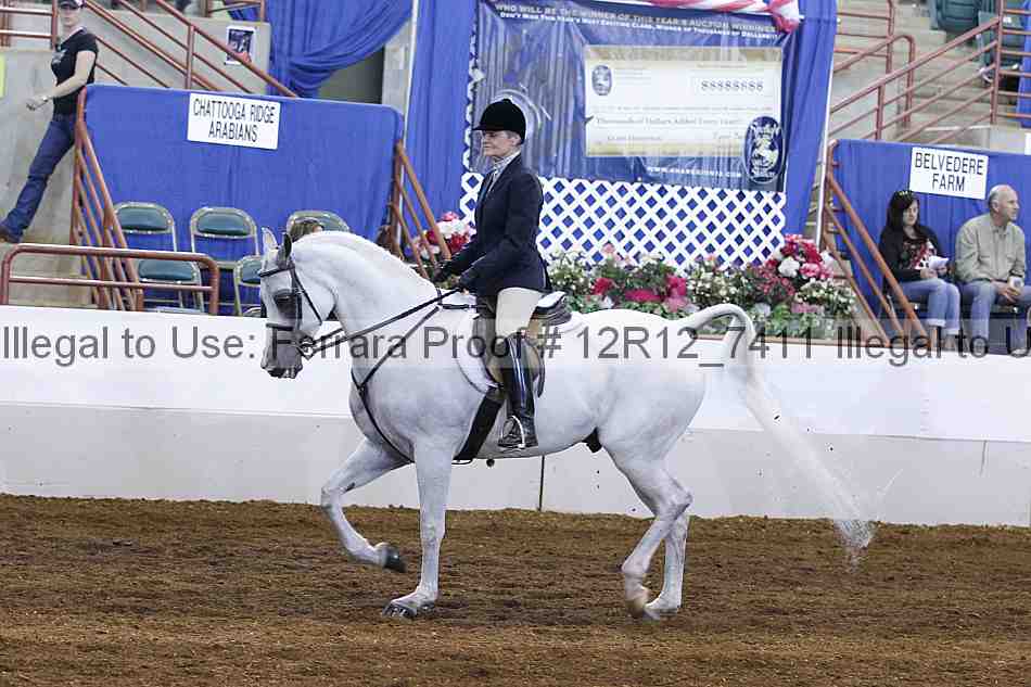 Proof 12r12_7411