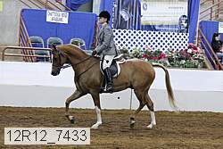 12r12_7433 proof