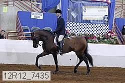 12r12_7435 proof
