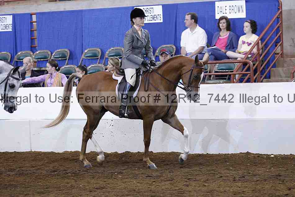 Proof 12r12_7442