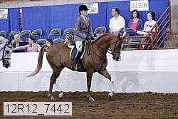 12r12_7442 proof