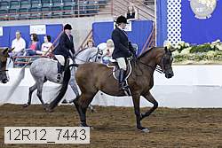 12r12_7443 proof