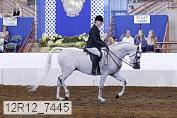 12r12_7445 proof