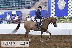 12r12_7446 proof