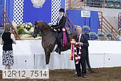 12r12_7514 proof