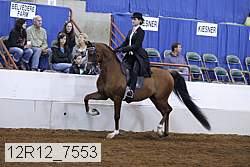 12r12_7553 proof