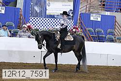 12r12_7591 proof
