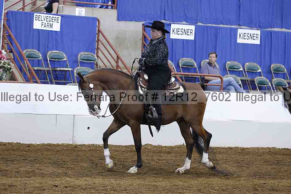 Proof 12r12_7602