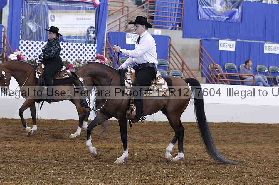 Proof 12r12_7604