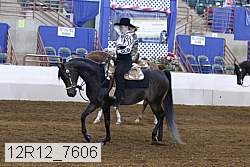 12r12_7606 proof