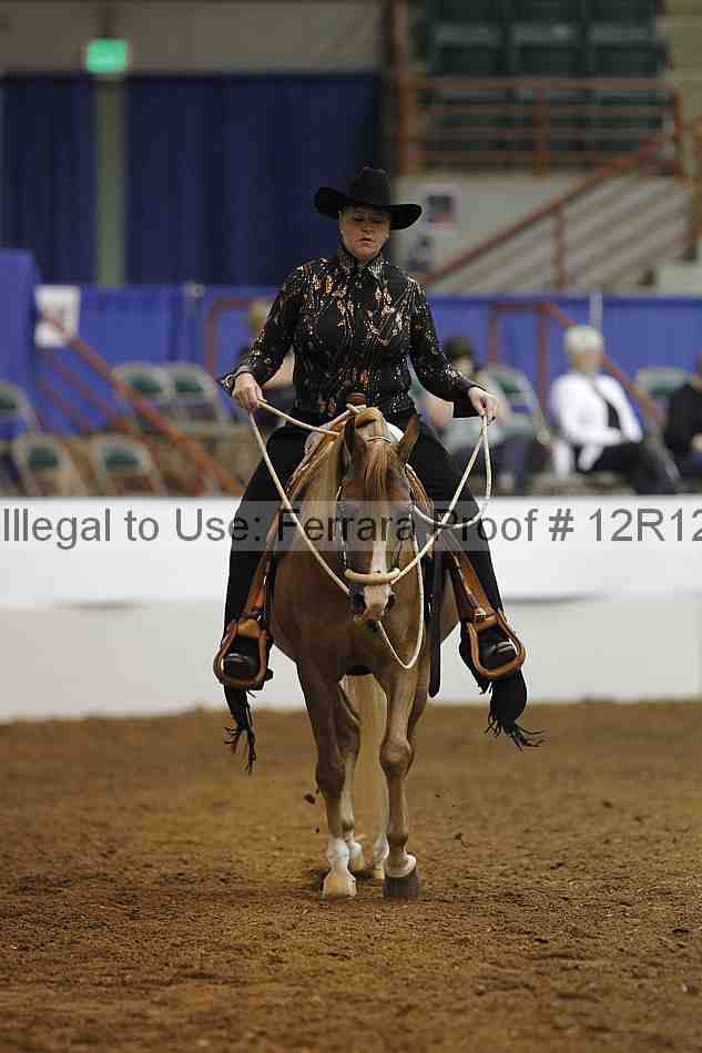 Proof 12r12_7607
