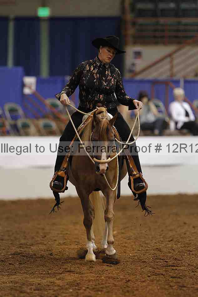 Proof 12r12_7609