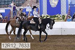 12r12_7633 proof