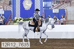 12r12_7635 proof
