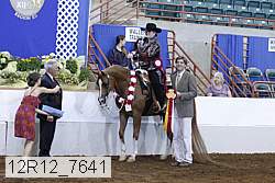 12r12_7641 proof