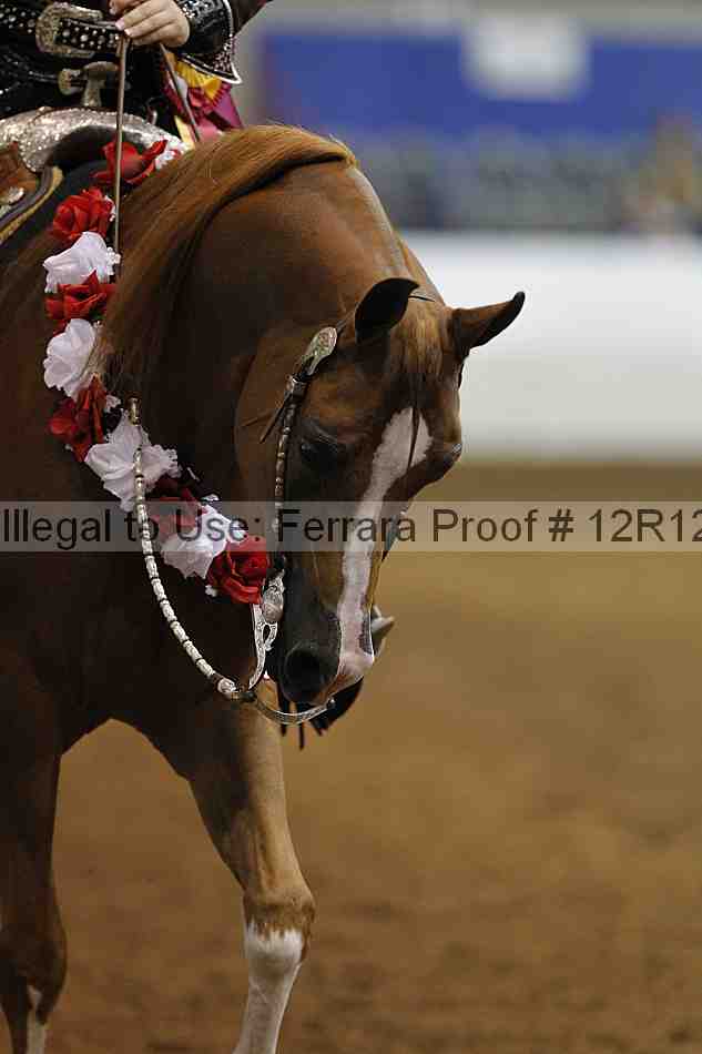 Proof 12r12_7646