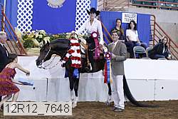 12r12_7648 proof