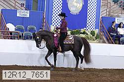 12r12_7651 proof