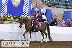 12r12_7655 proof