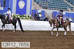 12r12_7658 proof