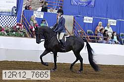 12r12_7665 proof