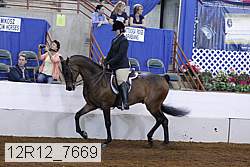 12r12_7669 proof