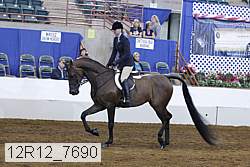 12r12_7690 proof