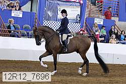 12r12_7696 proof